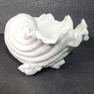 White Organic Shell Bowl Statue Accent Decor Excellent